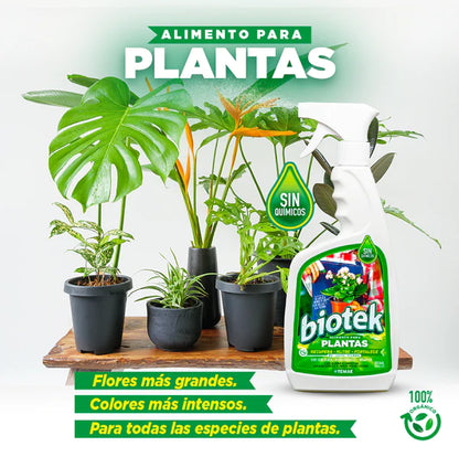 BIOTEK® ALIMENTO REVITALIZADOR DE PLANTAS EN 24H (500ML)