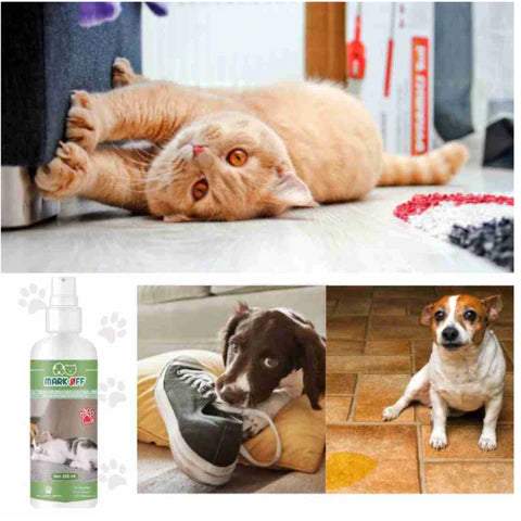 MARK OFF™ - SPRAY DISUASORIO PARA MASCOTAS